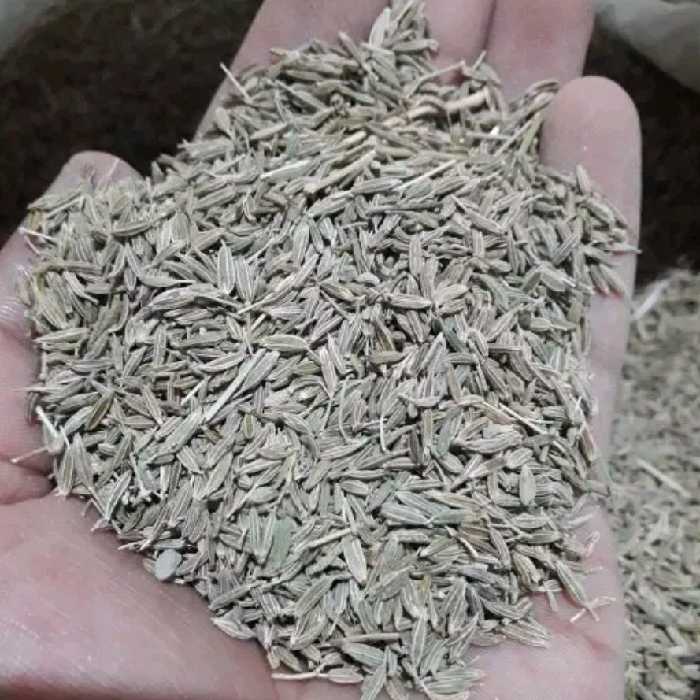 زیره سبز تمیز 100 گرمی