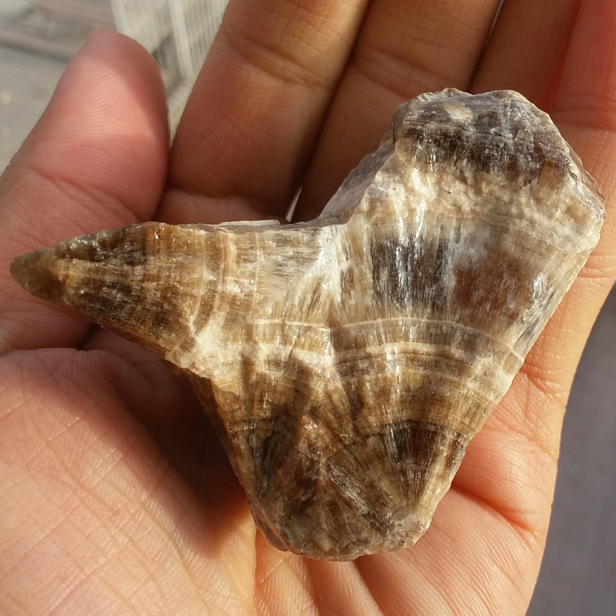 سنگ راف 100 در 100 طبیعی آراگونیت شاهکار خلقت خاص