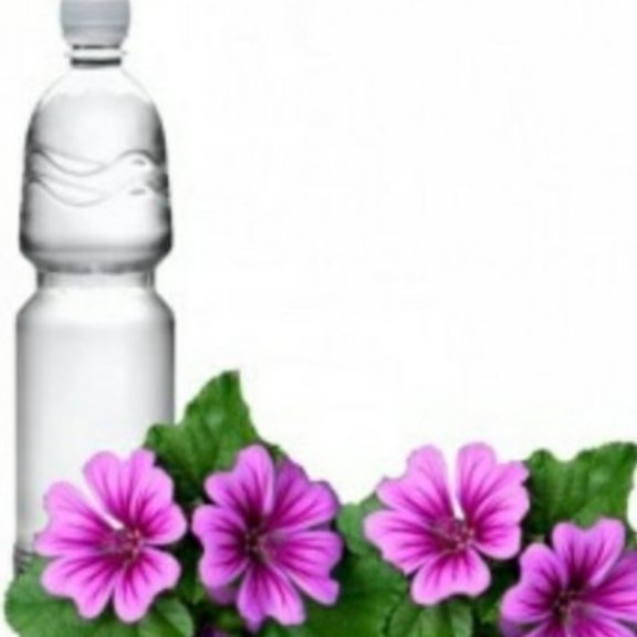 عرق پنیرک یک لیتری رفع سرفه مزمن 