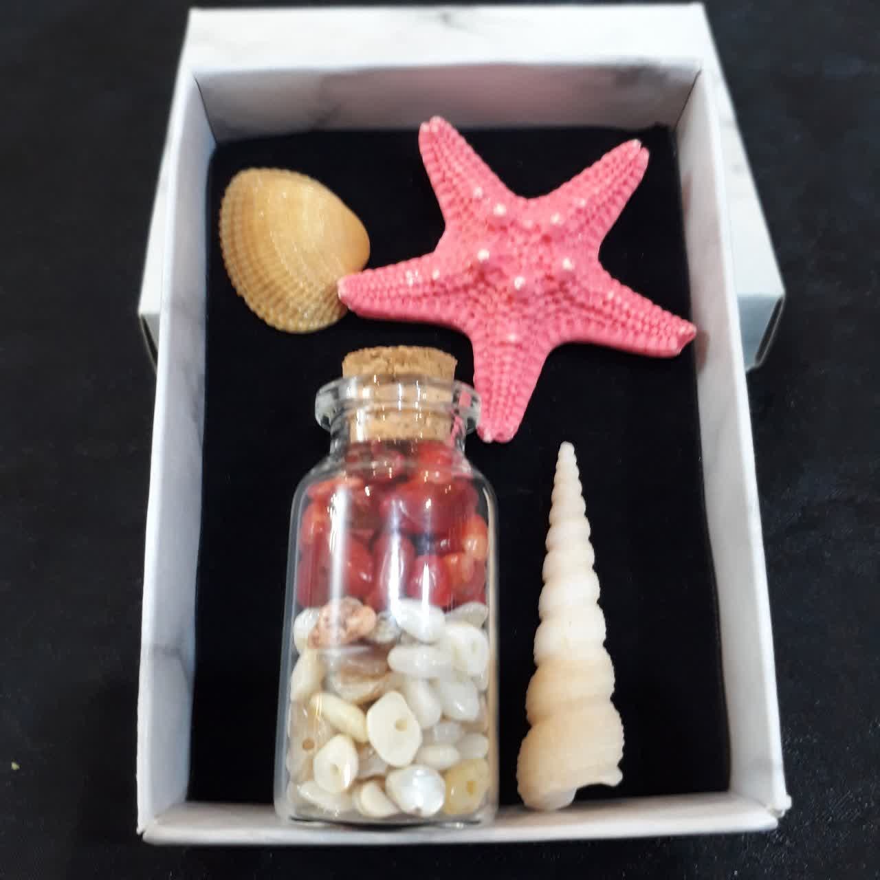 مرجان و صدف میکس