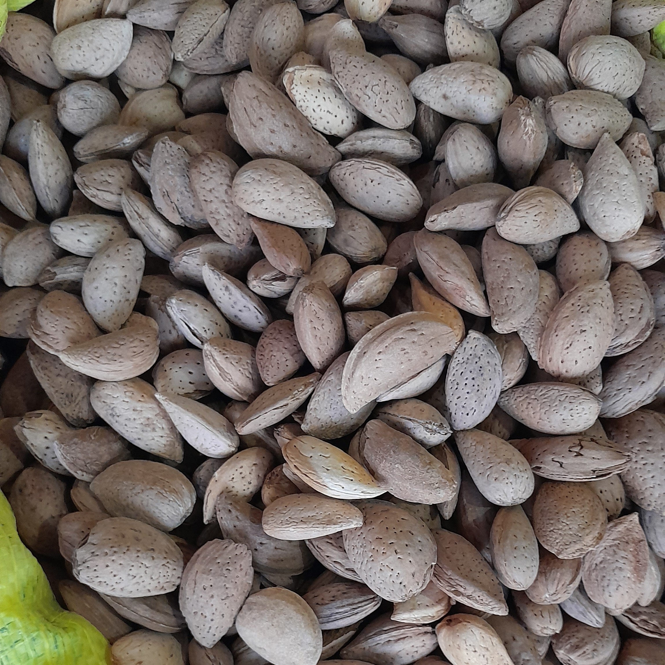 بادام سنگی متوسط (1000 گرم )
