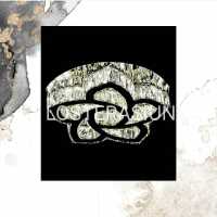 لوستر سقفی کریستالی استیل طلایی سایز 60  کرایه حمل بار به عهده مشتری 