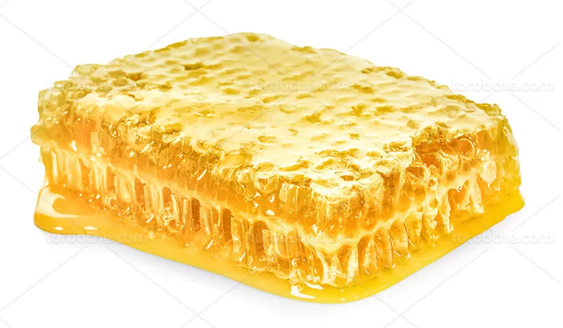 عکس موم عسل شیرین با کیفیت | گرافیک با طعم تربچه