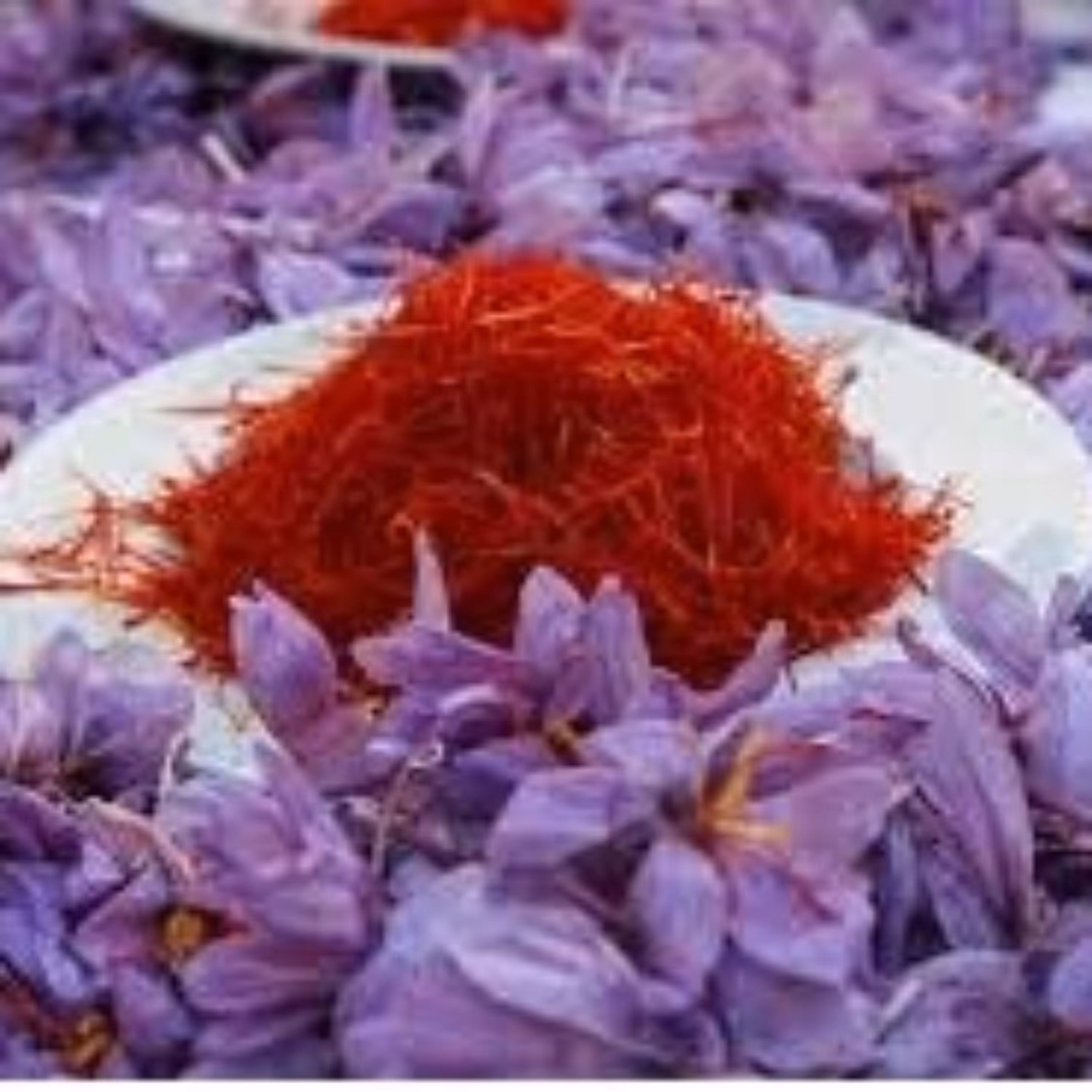 زعفران ناب قاینات (سرگل یک مثقال) بسیار خوش عطر و طبیعی