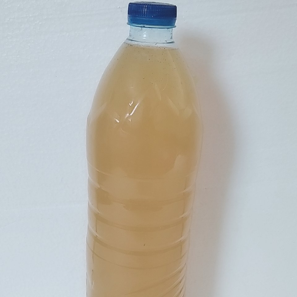 آبلیمو تازه|1500 گرم