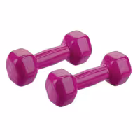 دمبل 2 کیلویی روکش دار بانوان