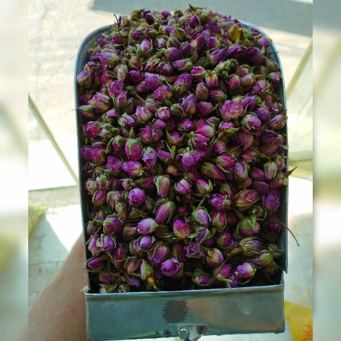 گل محمدی غنچه (درجه 1  ) امساله  100گرمی