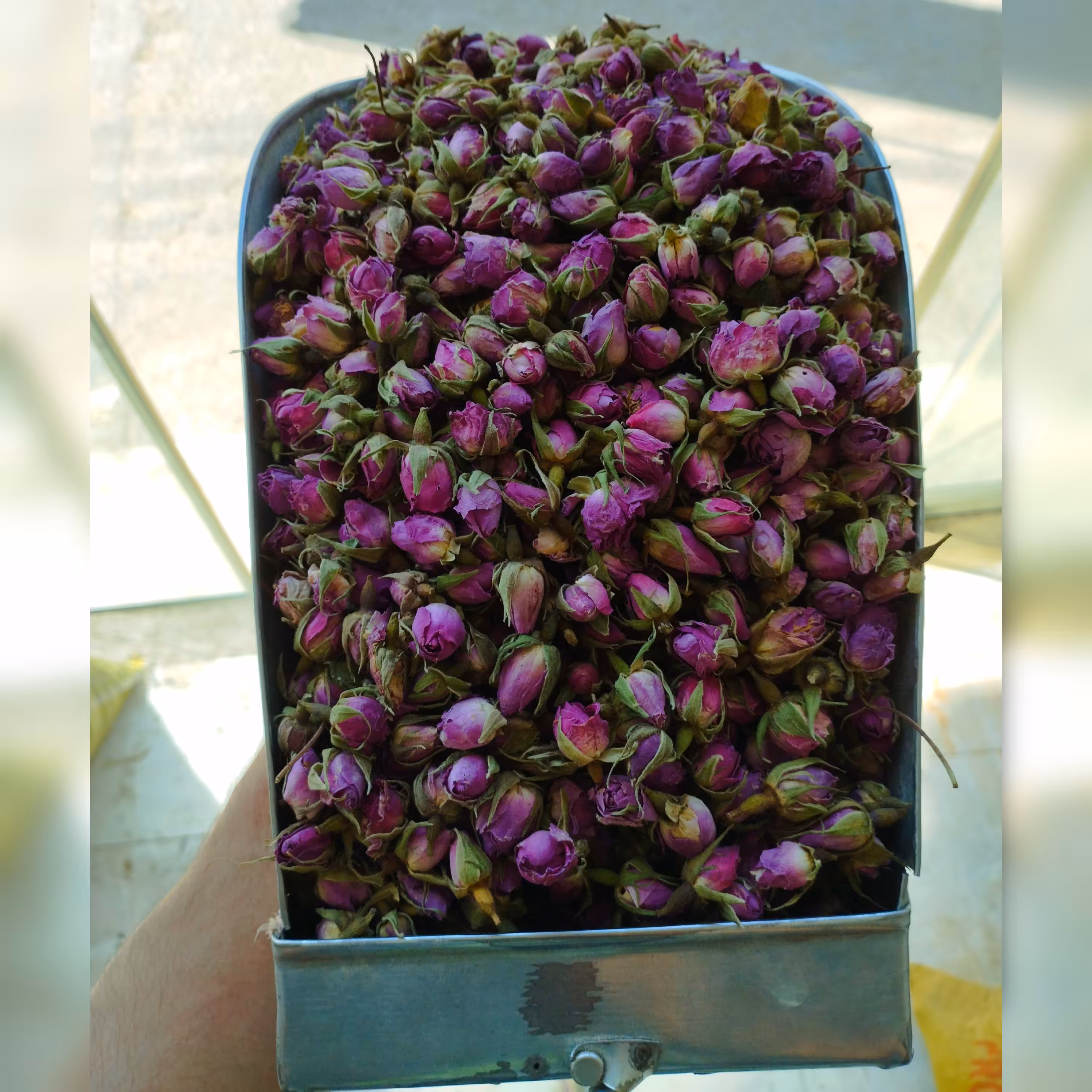 گل محمدی غنچه (درجه 1  ) امساله  100گرمی