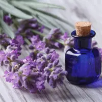 اسانس مایع اسطوخودوس ( لوندر ) آلمانی در بسته 100 گرمی