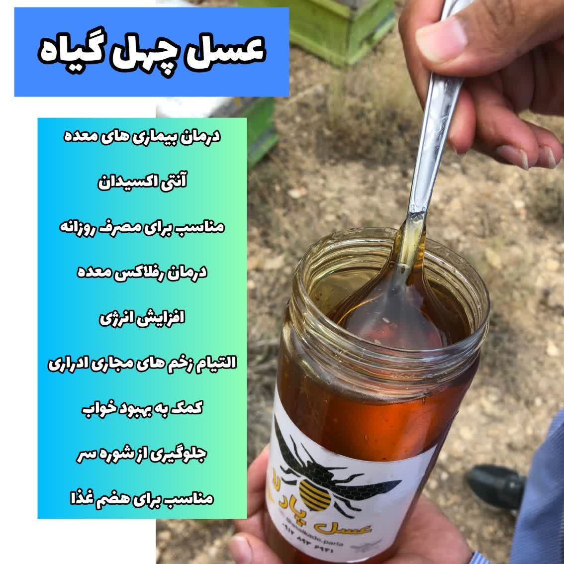 عسل چهل گیاه طبیعی و با کیفیت و به شرط تست کیفیت