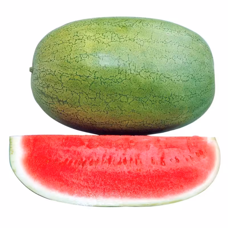 بذر هندوانه چارلستون