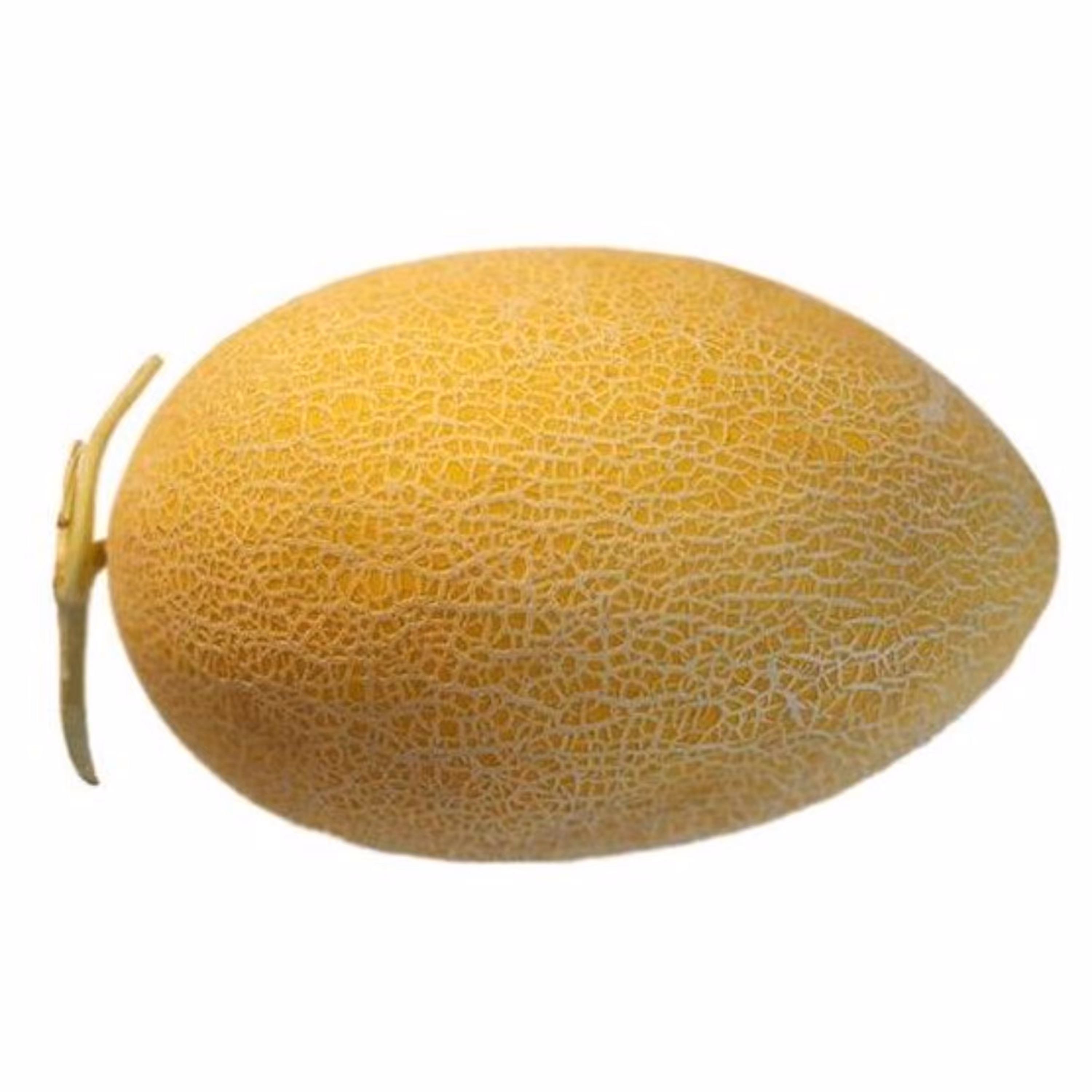بذر خربزه سوسکی گرمساری 20 عددی 