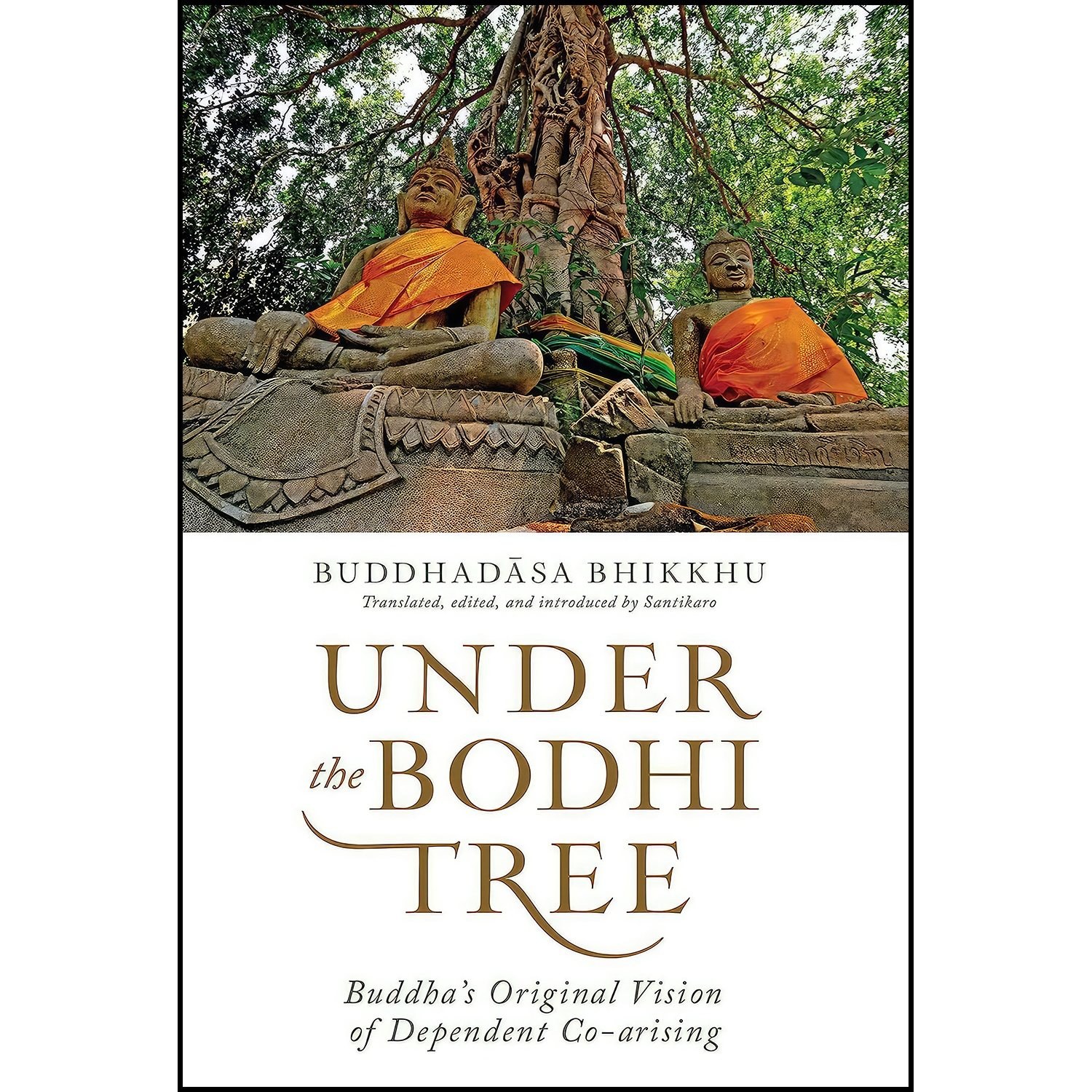 کتاب زبان اصلی Under the Bodhi Tree اثر Ajahn Buddhadasa Bhikkhu and Santikaro