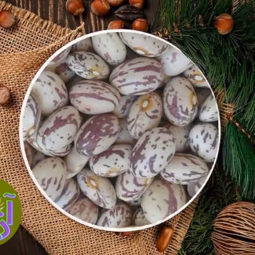 لوبیا چیتی 500 گرمی