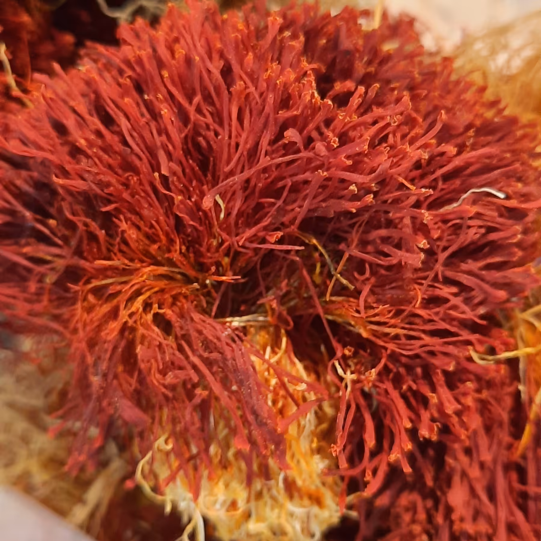 زعفران دختر پیچ 1مثقالی زعفرانیه