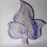 ظروف پذیرایی اردو خوری سرو و پذیرایی آبنبات خوری  شیرینی خوری