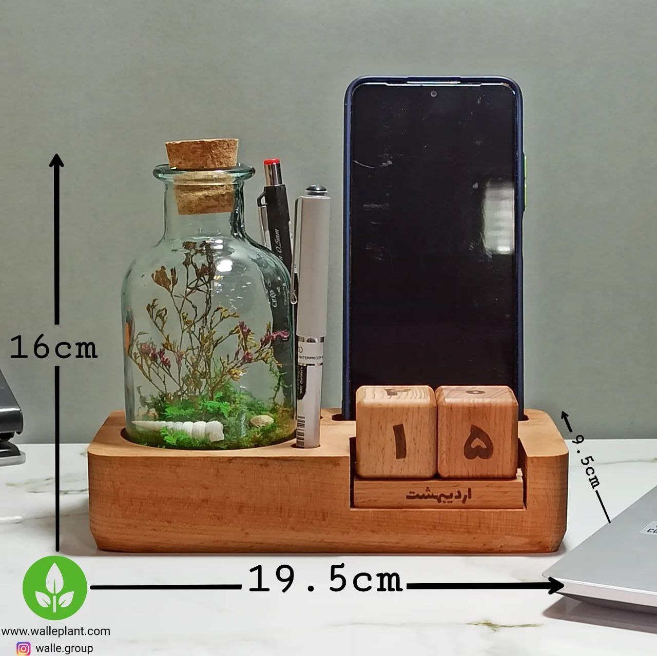 تراریوم جاوندان همراه تقویم پازلی مدل وال ای 