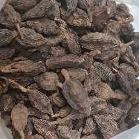 هل باد (هل غراب) 600 گرمی
