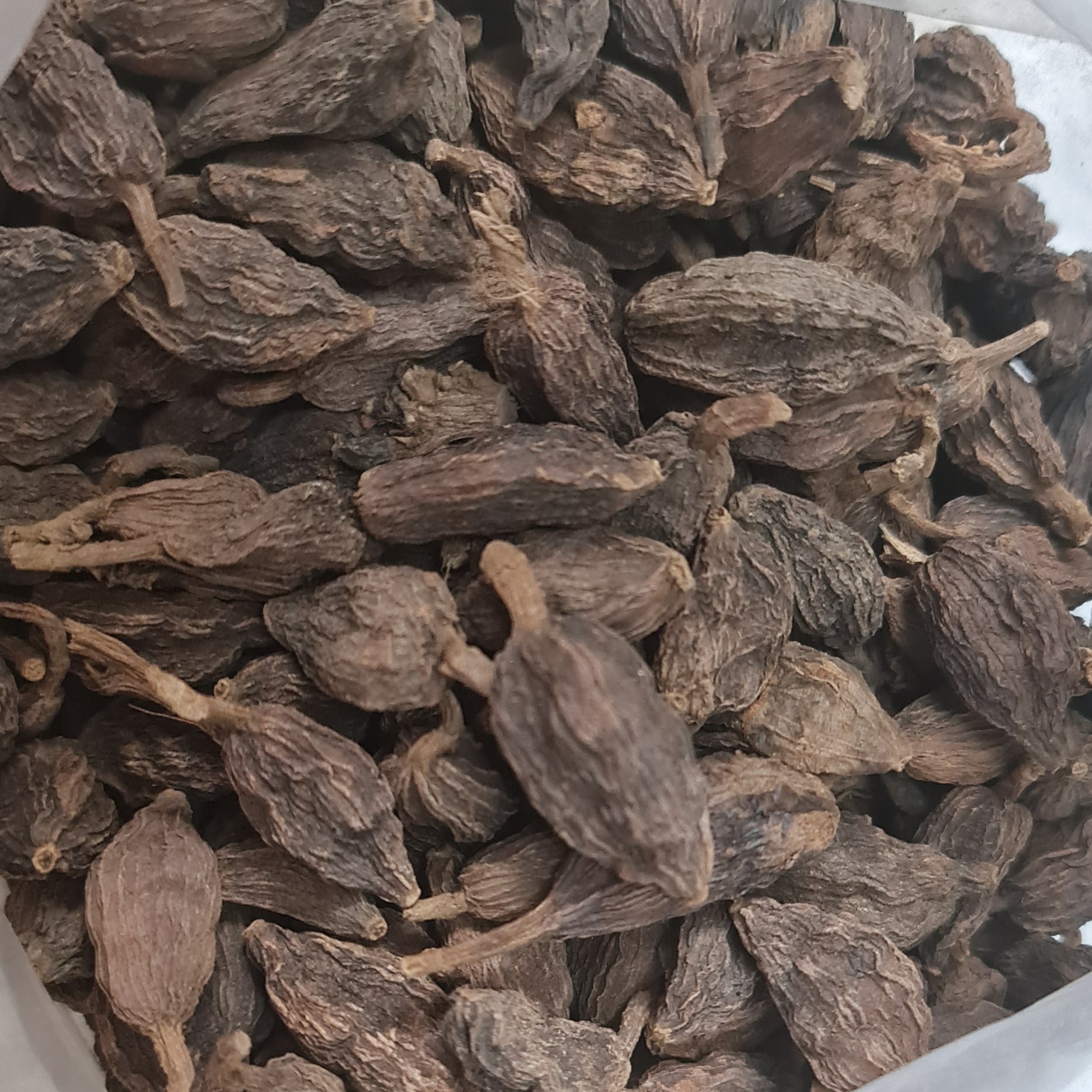 هل باد (هل غراب) 600 گرمی