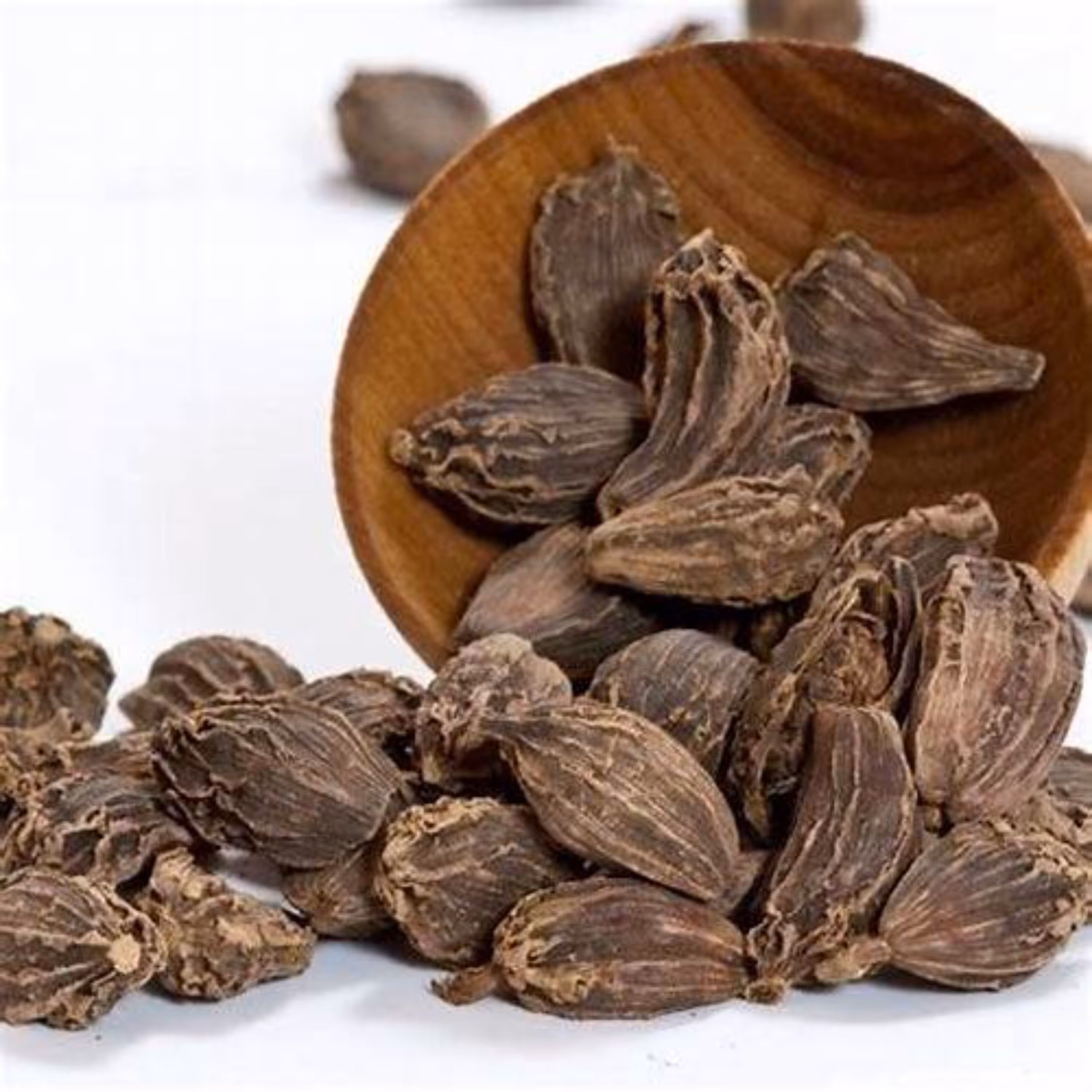 هل باد 50 گرمی