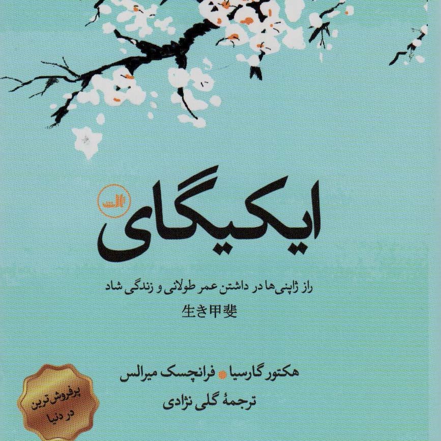 ای کی گای