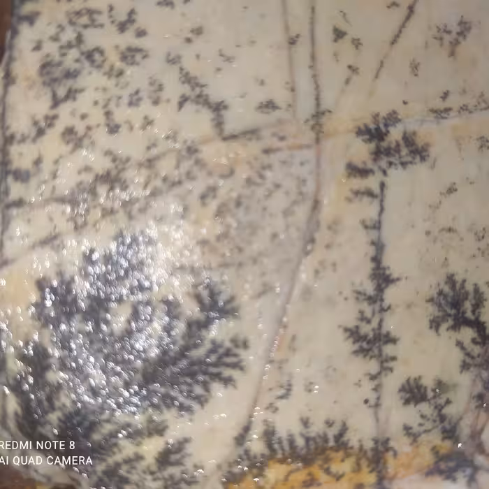 عقیق درخت قاعن