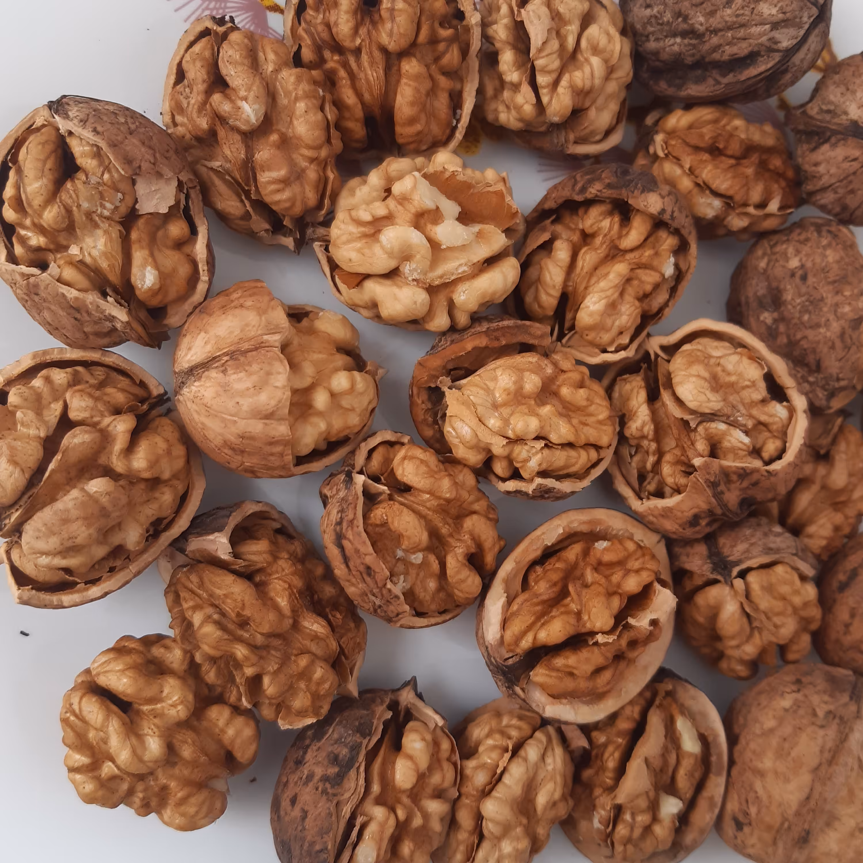 مغز گردوی عسلی خورشتی، توپُر، پر چرب، با طعم گس و عالی، بومی خراسان