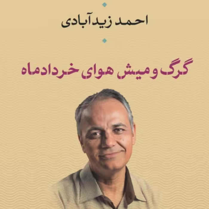 گرگ ومیش هوای خرداد ماه احمد زید آبادی نشر نی