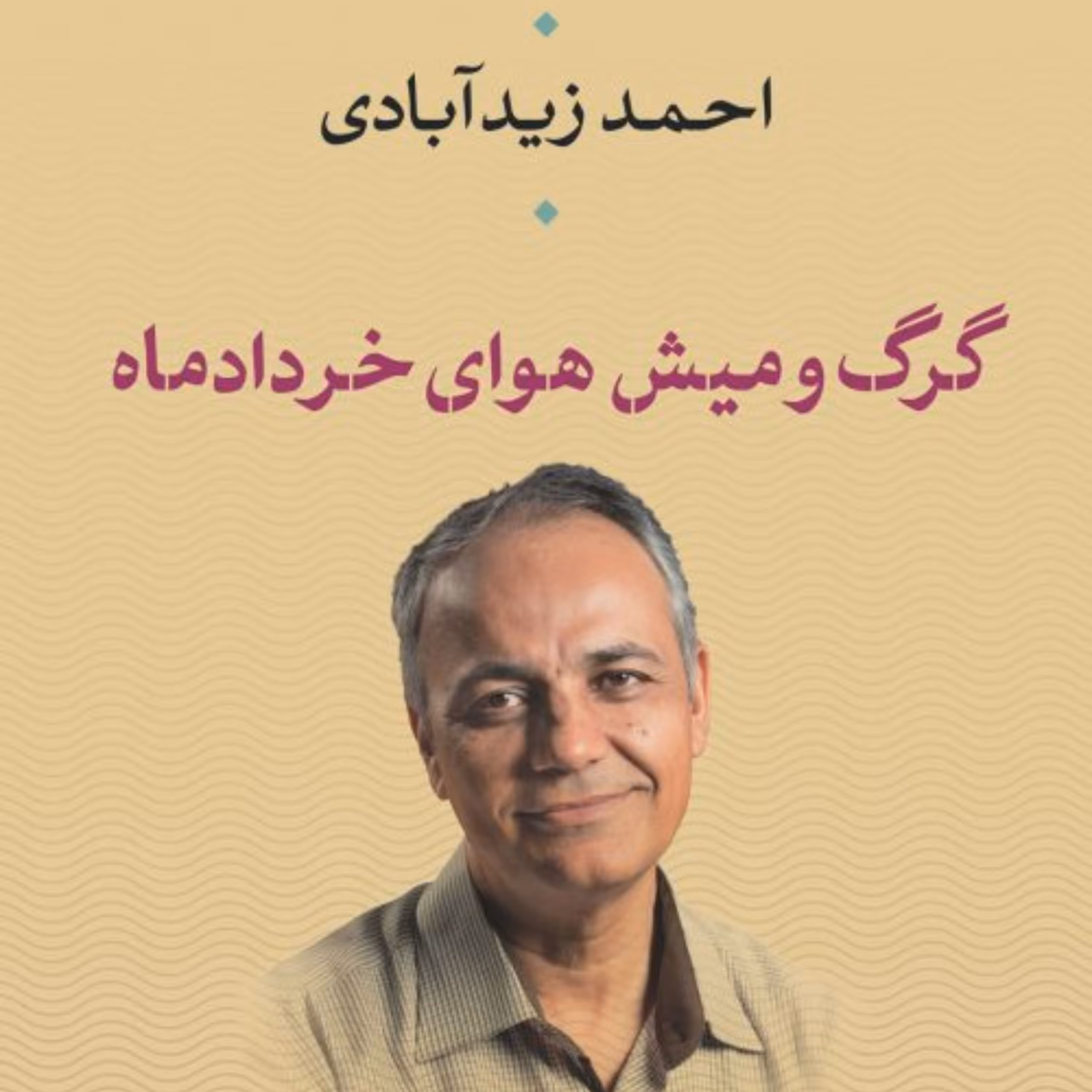 گرگ ومیش هوای خرداد ماه احمد زید آبادی نشر نی