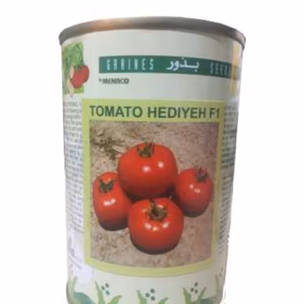 بذر گوجه هدیه