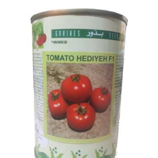 بذر گوجه هدیه