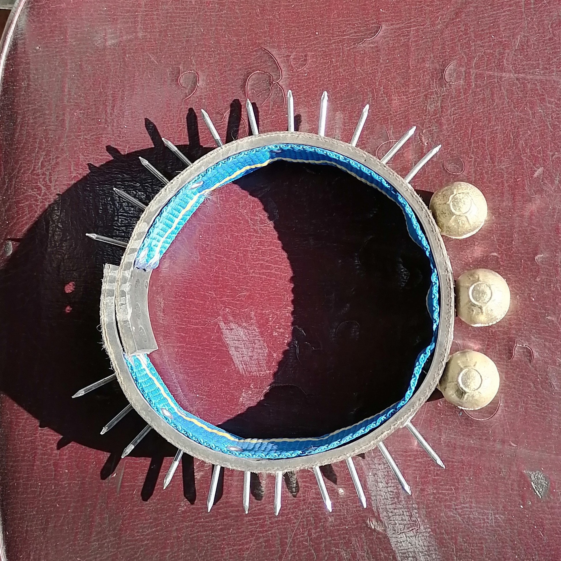 قور بند سگ سه قور
