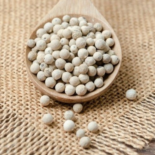 فلفل سفید دانه تازه و درجه یک(500گرم)