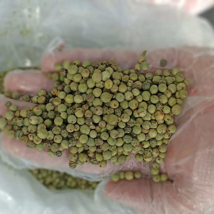 فلفل سبز نسابیده 100 گرمی 