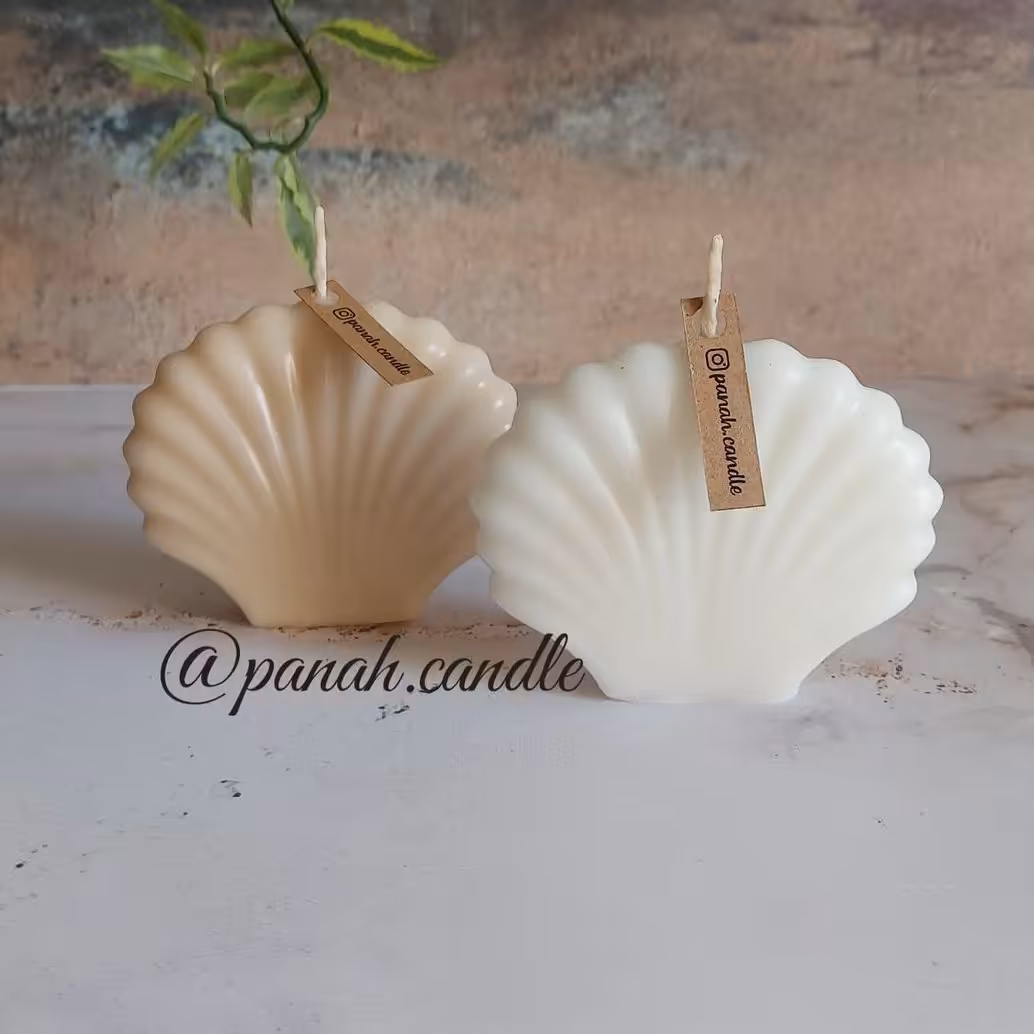 شمع صدفی