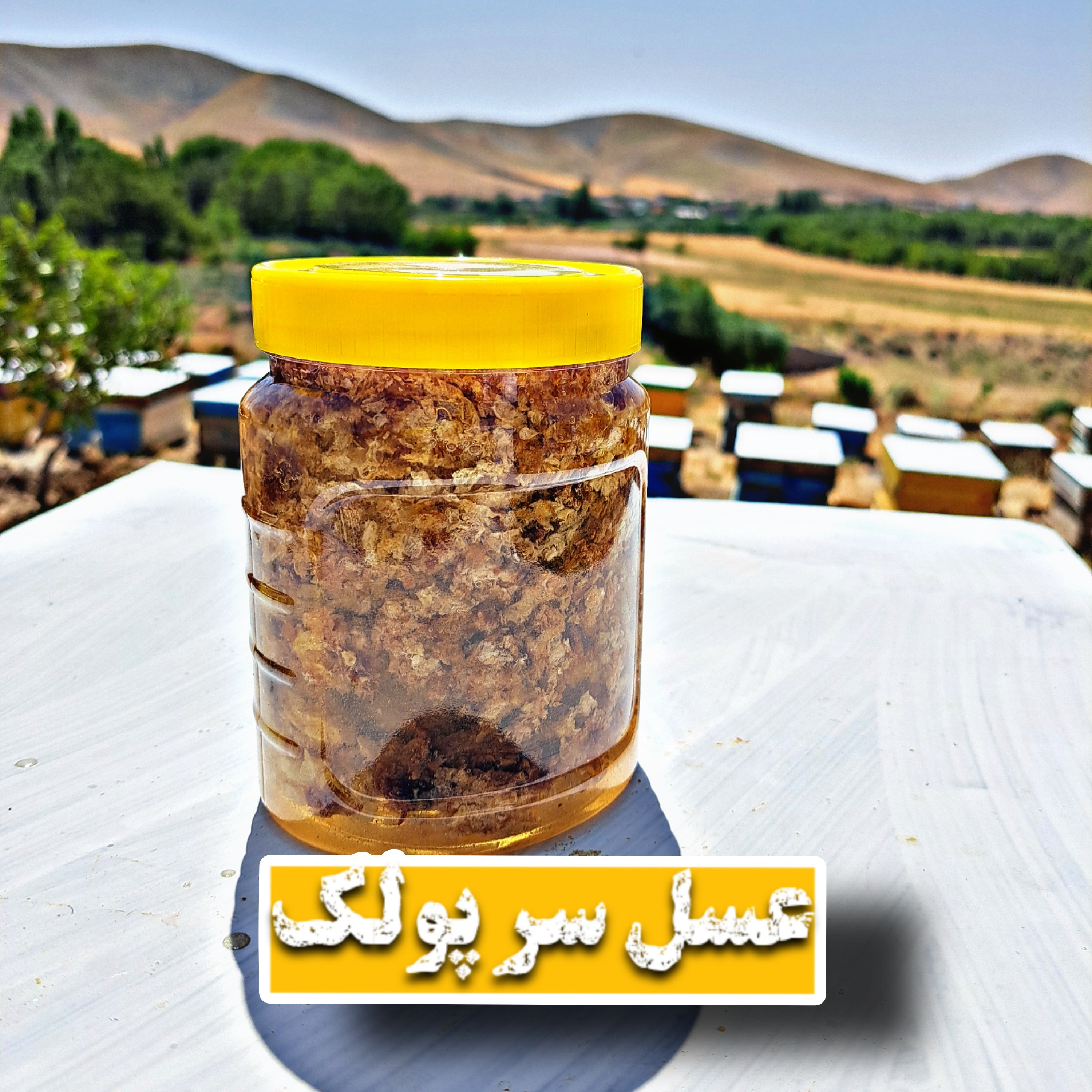 عسل سر پولک (1کیلو گرم)