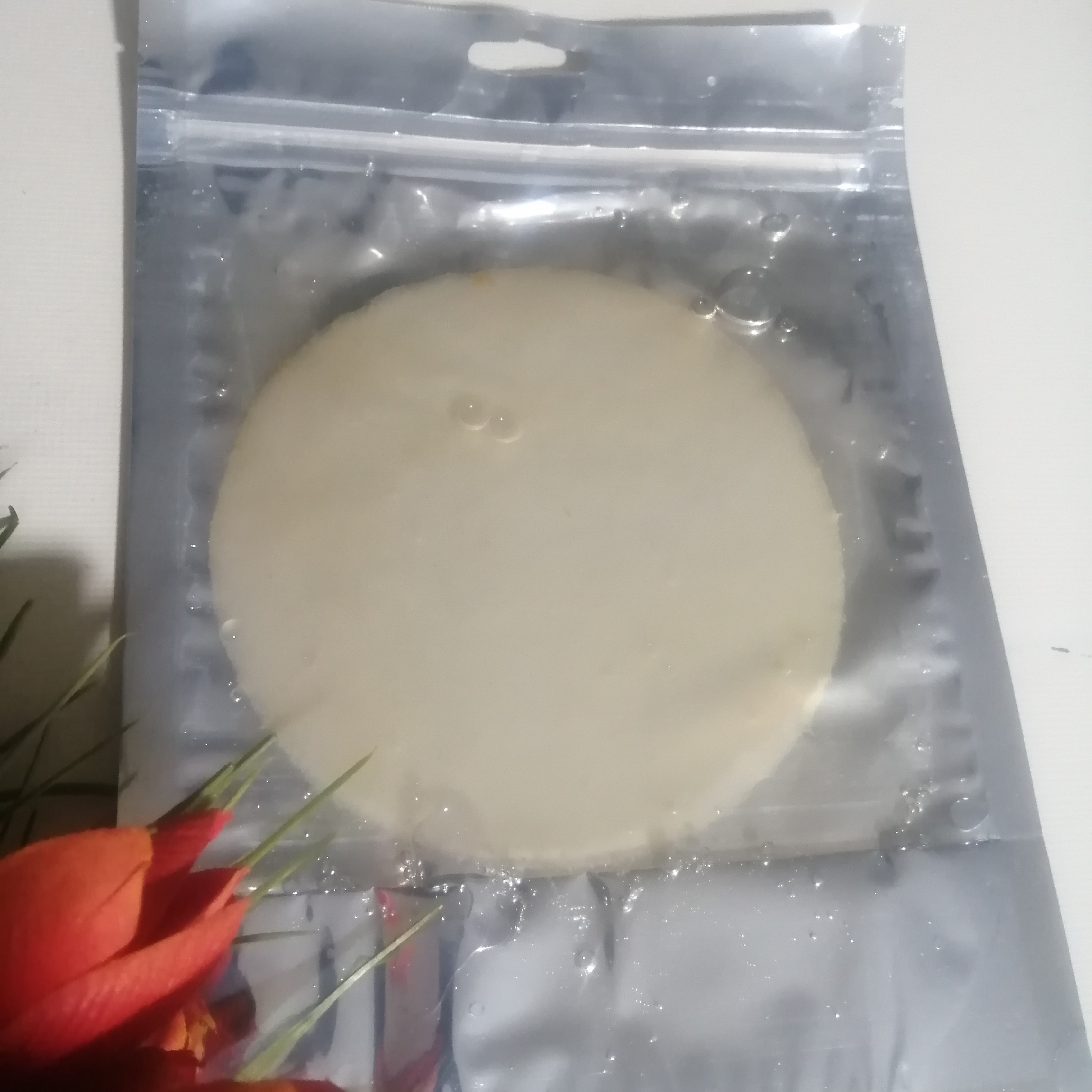 فروش ویژه 200 گرم قارچ کامبوجا تازه و فعال به همراه 300 میلی شربت کامبوجا آموزش رایگان