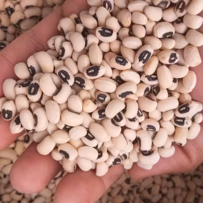 لوبیا چشم بلبلی  با قیمت مناسب.. پاک شده و تمیز 