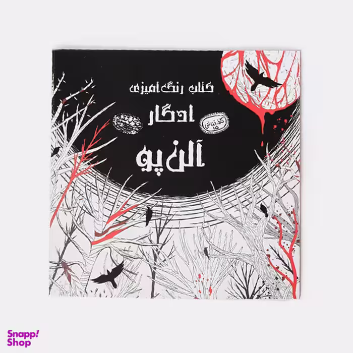 کتاب رنگ آمیزی ادگار آلن پو اثر اودیسا بیگی انتشارات حوض‌ نقره‌