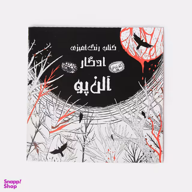 کتاب رنگ آمیزی ادگار آلن پو اثر اودیسا بیگی انتشارات حوض‌ نقره‌