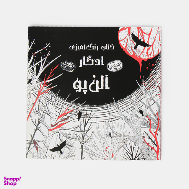 کتاب رنگ آمیزی ادگار آلن پو اثر اودیسا بیگی انتشارات حوض‌ نقره‌