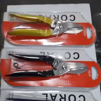 قندچین کورل