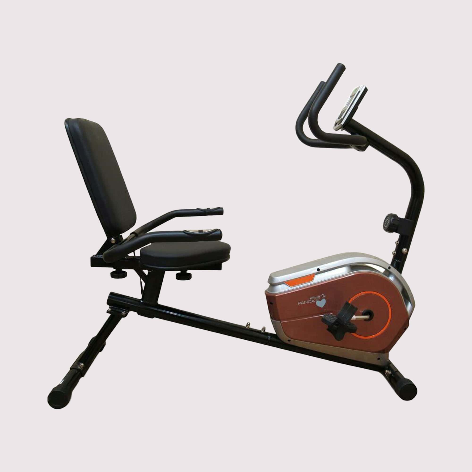 دوچرخه ثابت پشتی دار مگنتی PANDA مدل L360