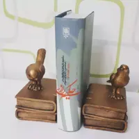 کتاب حکیم رازی حکمت طبیعی و نظام فلسفی اثر پرویز اذکایی