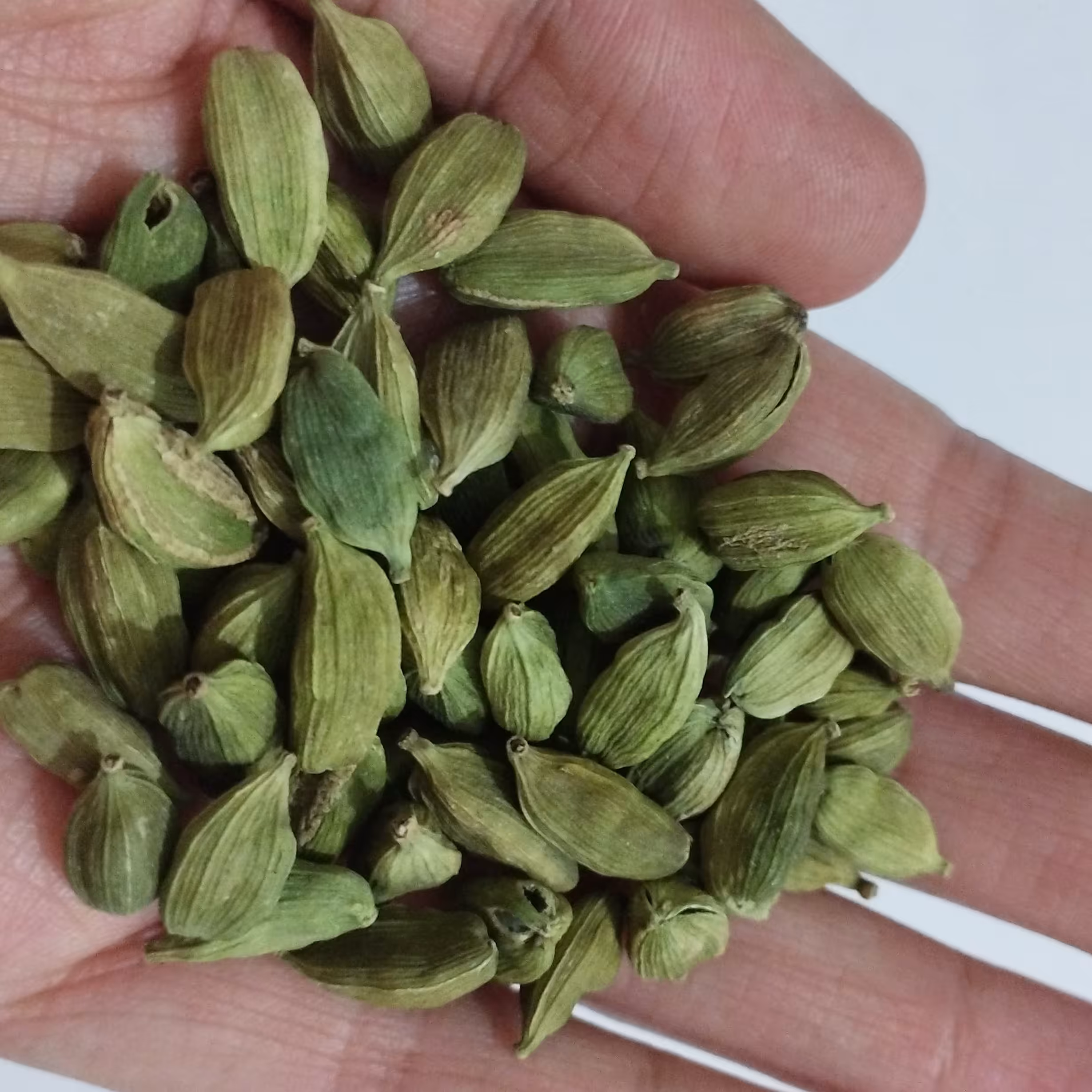 هل اکبر سبز  اقتصادی