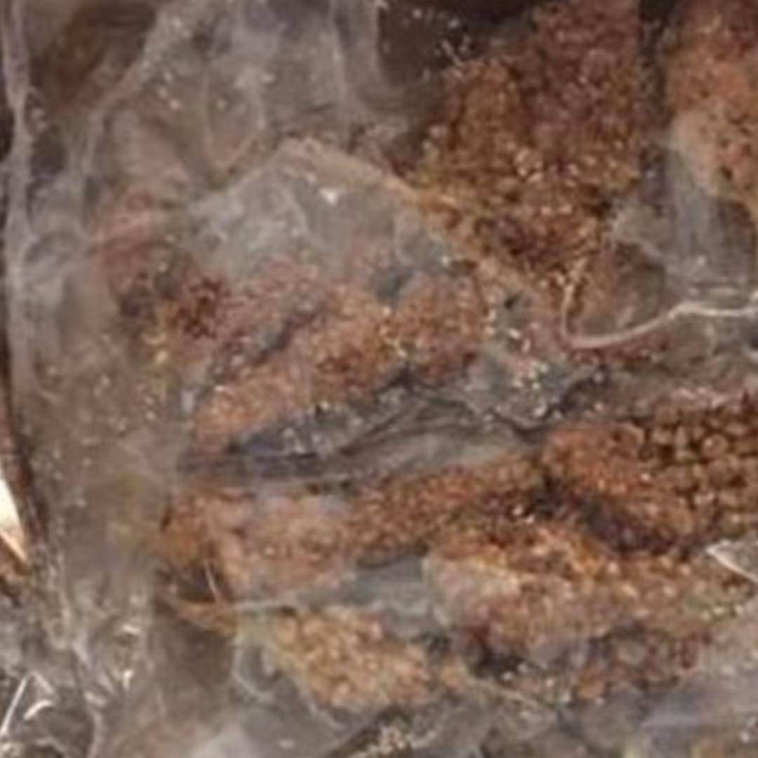 سماق خوشه ای عالی و تازه در بسته های نایلونی  برای سفره هفت سین تکی و عمده