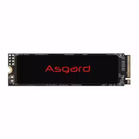 اس اس دی ازگارد AN2 M.2 NVMe ظرفیت 250 گیگابایت