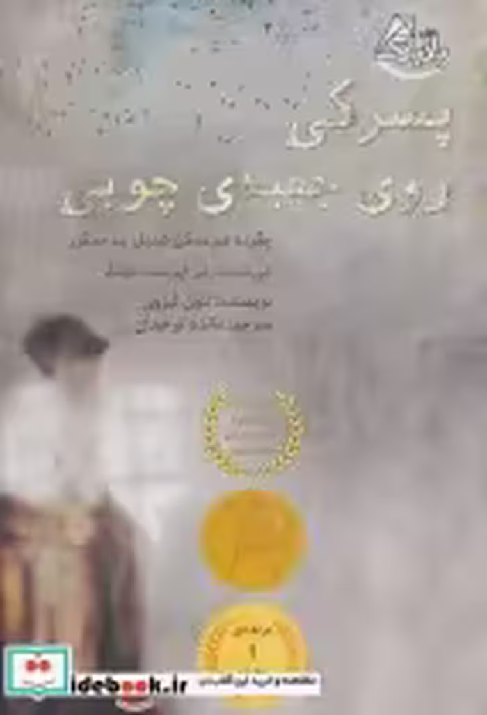 قیمت و خرید کتاب پسرکی روی جعبه چوبی اثر لئون لیزون | ایده بوک