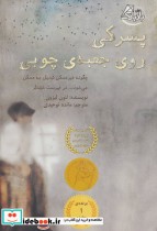 قیمت و خرید کتاب پسرکی روی جعبه چوبی اثر لئون لیزون | ایده بوک