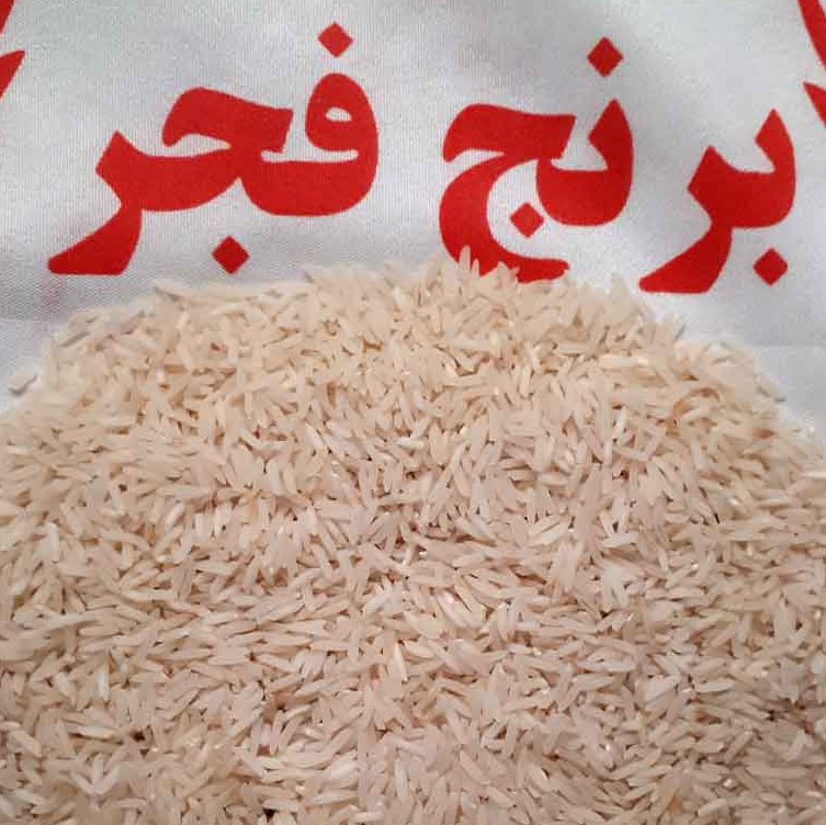 برنج فجر